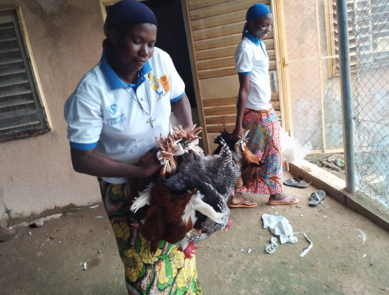 Sister Philomène tells us about the chicken coop project in Burkina Faso